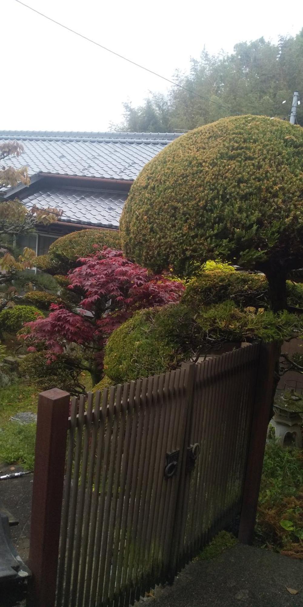 Raibrasil Guest House Sanuki  Exteriör bild